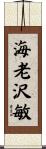 海老沢敏 Scroll