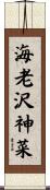 海老沢神菜 Scroll