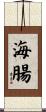 海腸 Scroll