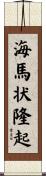 海馬状隆起 Scroll