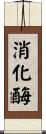 消化酶 Scroll