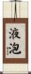液泡 Scroll