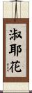 淑耶花 Scroll