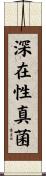 深在性真菌 Scroll