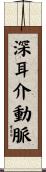 深耳介動脈 Scroll