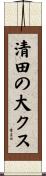 清田の大クス Scroll