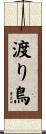 渡り鳥 Scroll