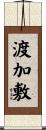 渡加敷 Scroll