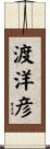 渡洋彦 Scroll