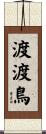 渡渡鳥 Scroll