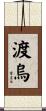 渡烏 Scroll