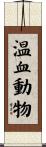 温血動物 Scroll