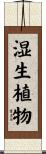 湿生植物 Scroll