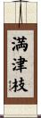 満津枝 Scroll