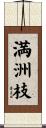 満洲枝 Scroll