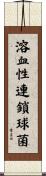 溶血性連鎖球菌 Scroll