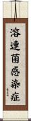 溶連菌感染症 Scroll