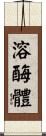 溶酶體 Scroll