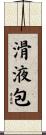 滑液包 Scroll