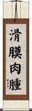 滑膜肉腫 Scroll