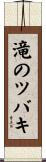 滝のツバキ Scroll