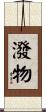 潑物 Scroll