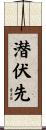 潜伏先 Scroll
