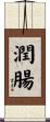 潤腸 Scroll