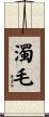 濁毛 Scroll