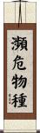 瀕危物種 Scroll