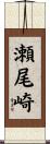 瀬尾崎 Scroll