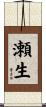 瀬生 Scroll