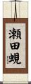 瀬田蜆 Scroll
