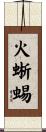 火蜥蜴 Scroll