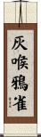 灰喉鴉雀 Scroll