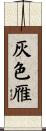 灰色雁 Scroll