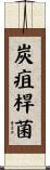 炭疽桿菌 Scroll