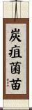 炭疽菌苗 Scroll