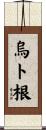 烏ト根 Scroll