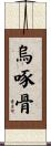 烏啄骨 Scroll
