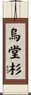 烏堂杉 Scroll