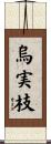 烏実枝 Scroll