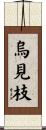 烏見枝 Scroll