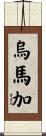 Umaga Scroll