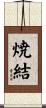 焼結 Scroll