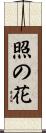 照の花 Scroll