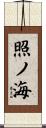 照ノ海 Scroll