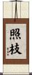 照枝 Scroll