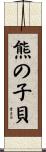熊の子貝 Scroll