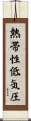 熱帯性低気圧 Scroll